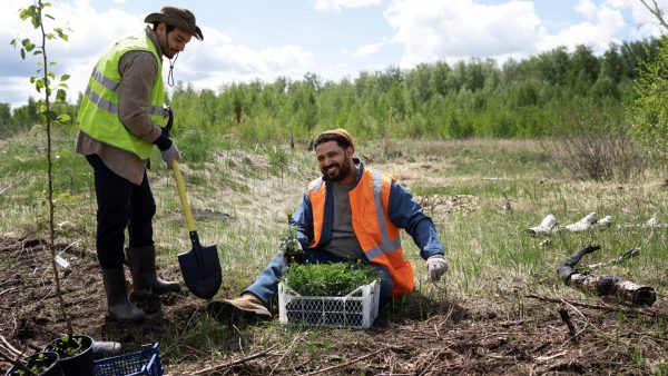 CarbonMIles reforestation